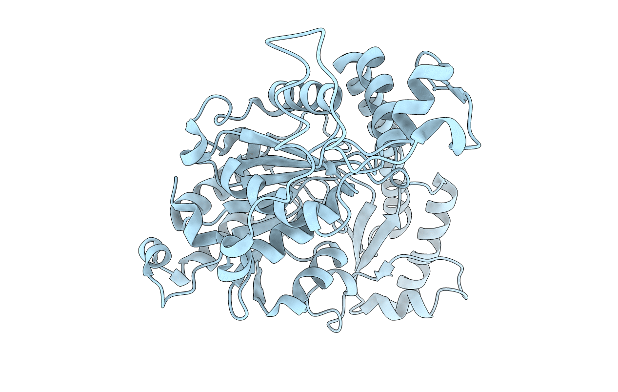 5EFS image