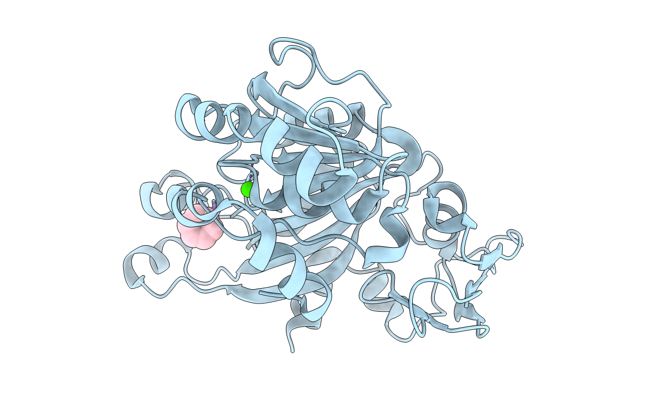 5EG5 image
