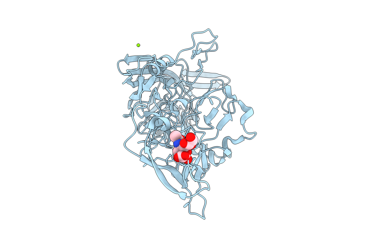 5EGC image