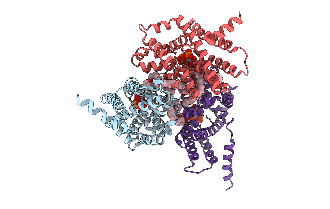 5EGI image