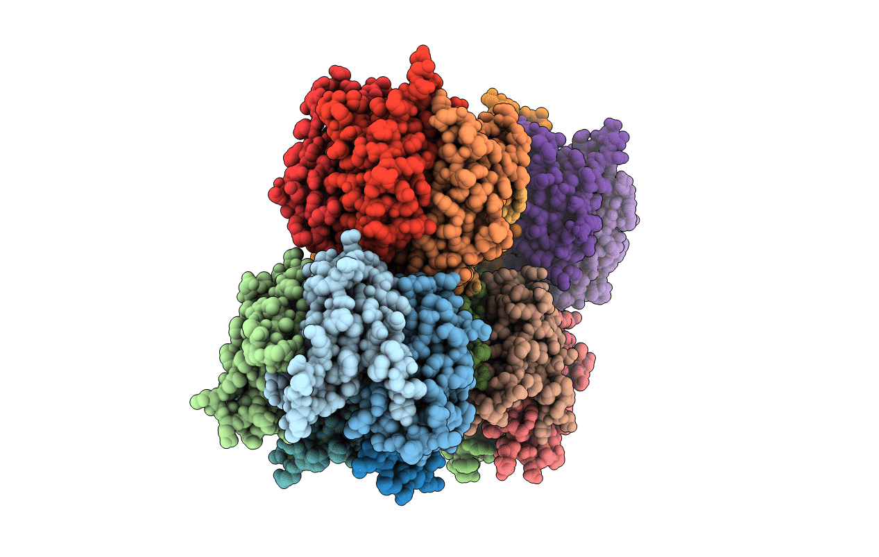 5EHD image