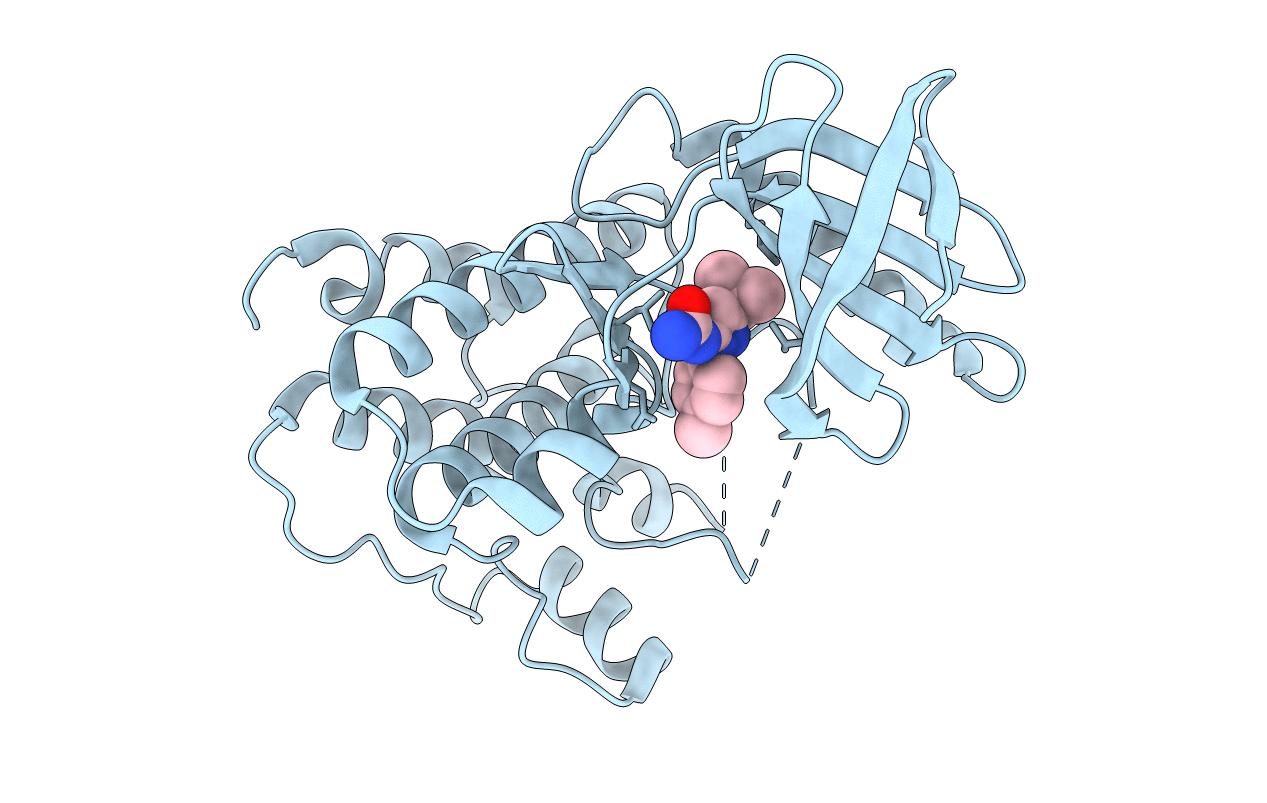 5EHL image