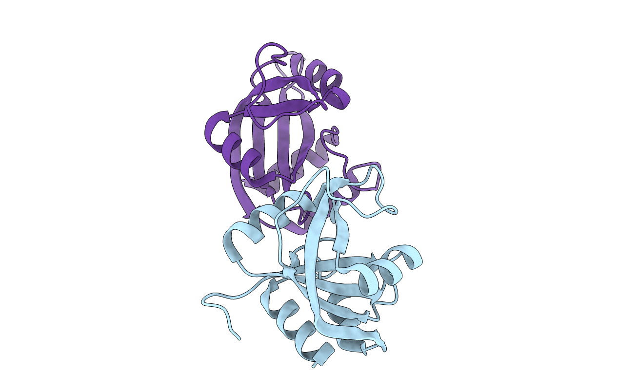 5EIP image