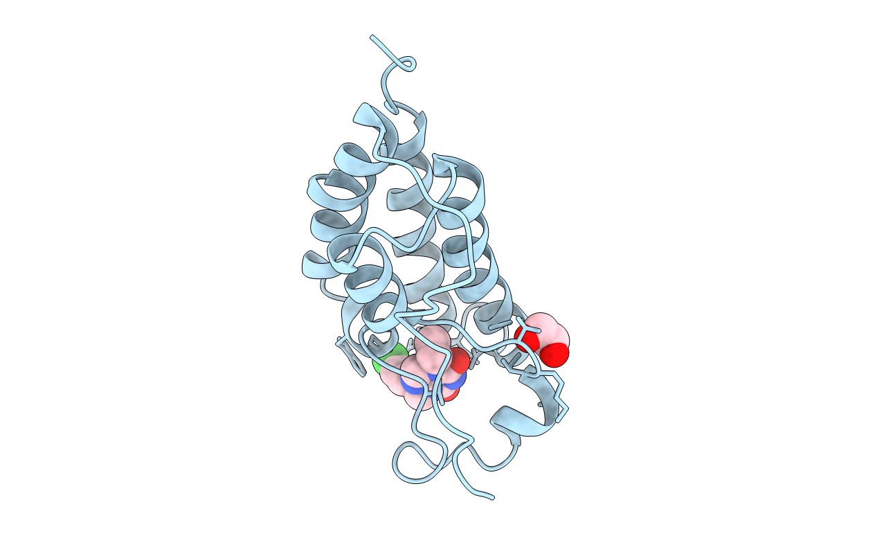 5EIS image