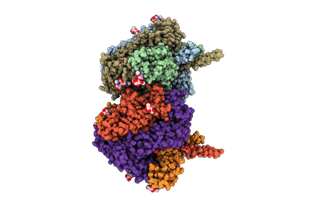 5EJB image