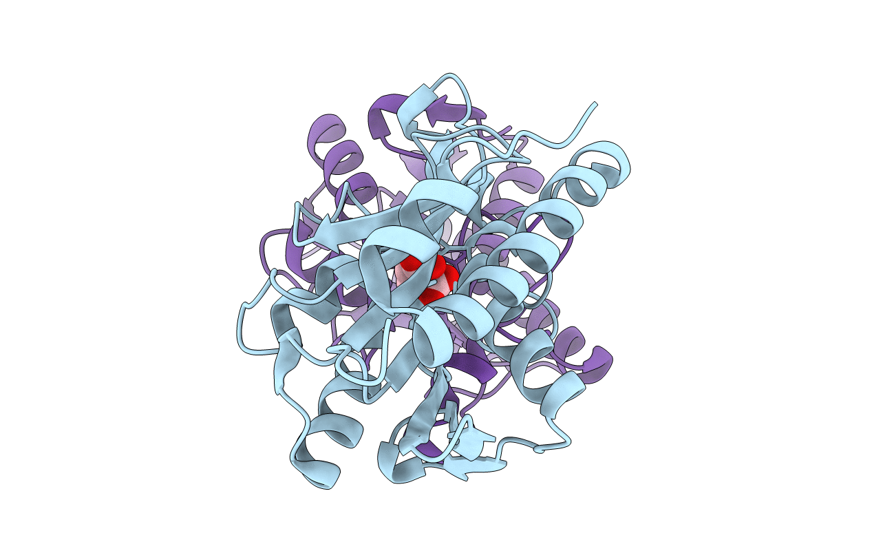 5EKT image