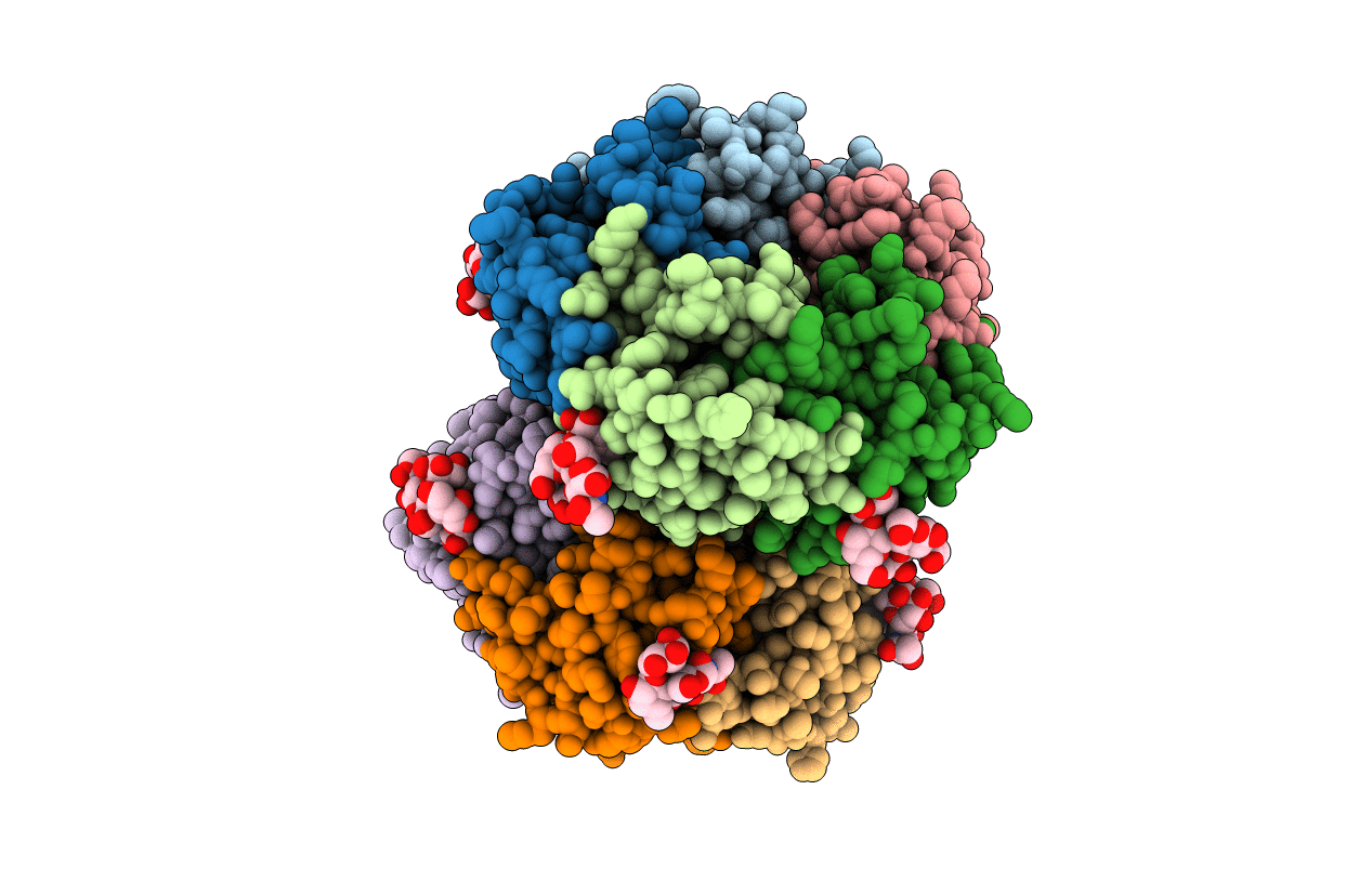 5ELC image