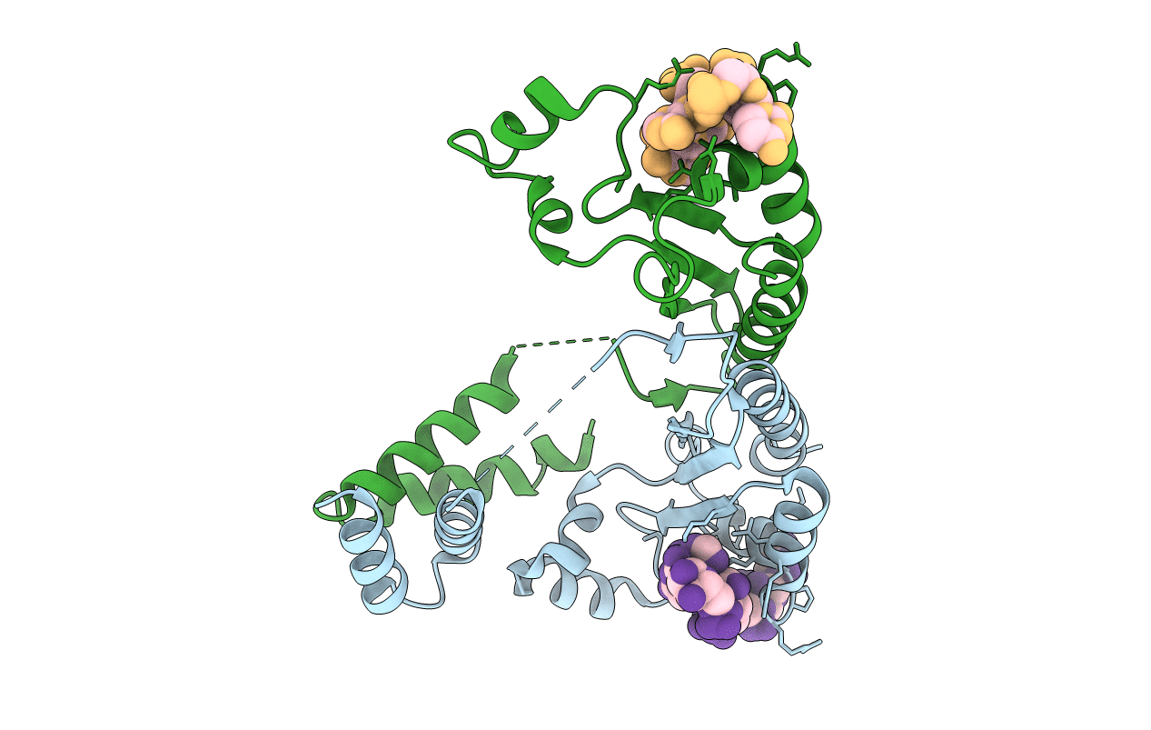 5ELT image