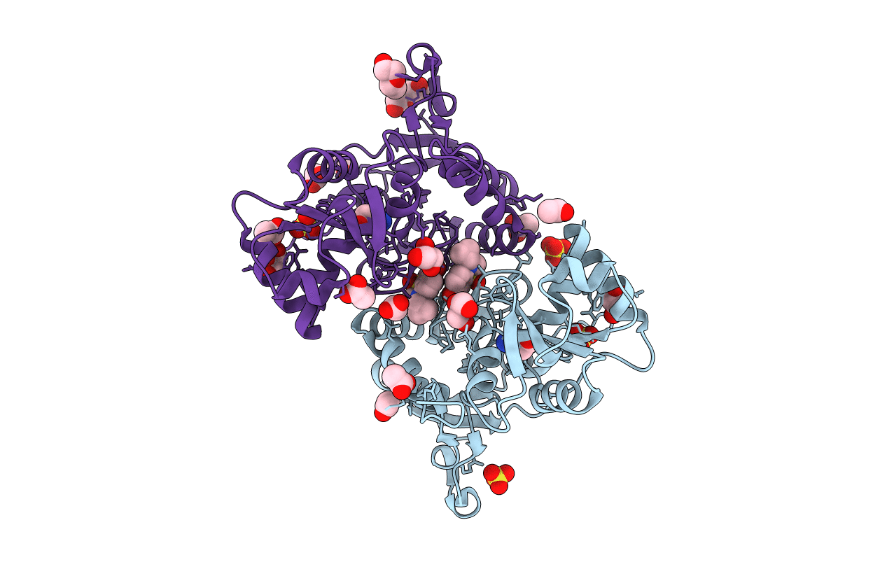 5ELV image