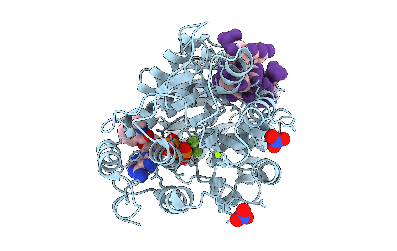 5ELX image