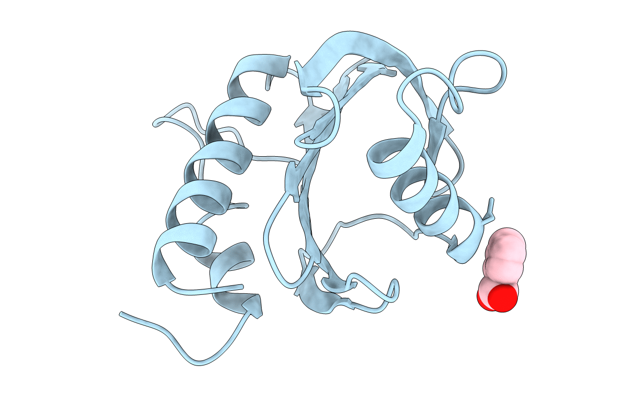 5EM1 image