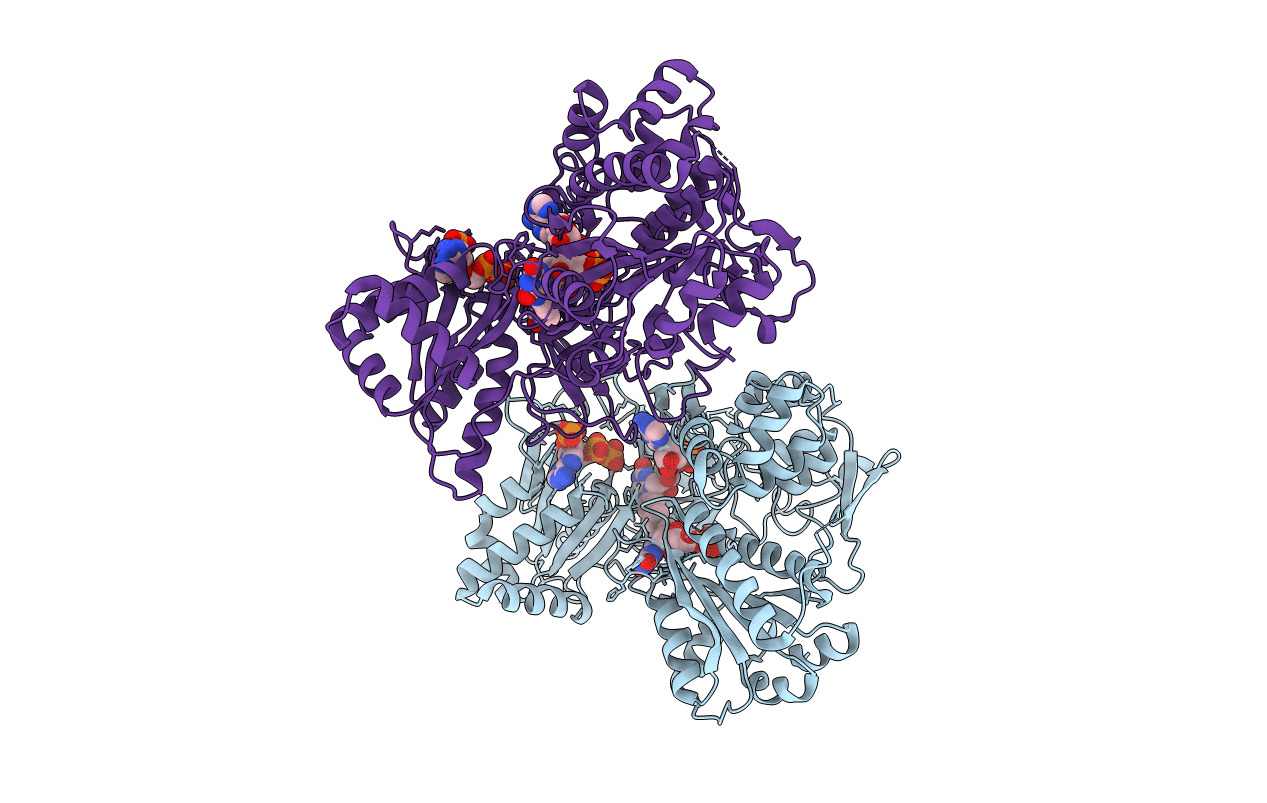 5EMN image