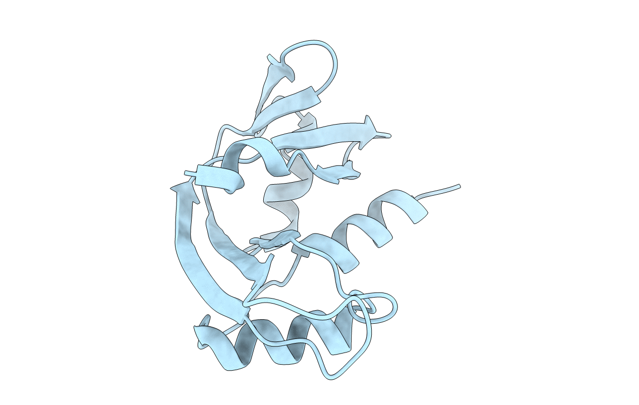 5EOP image