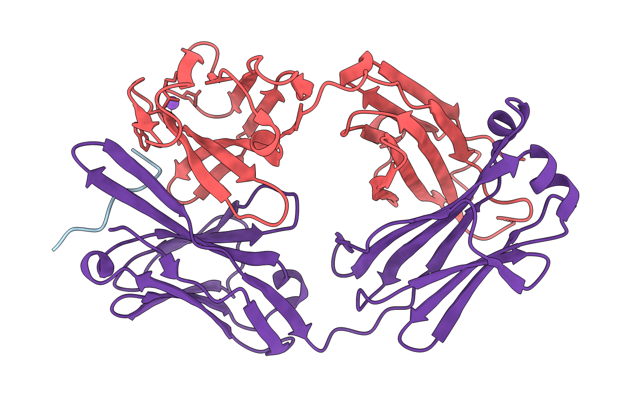 5EOR image