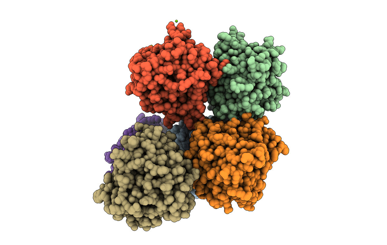 5EPA image
