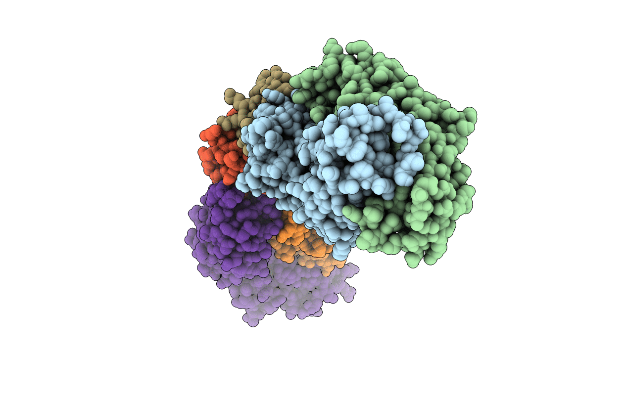 5EPM image