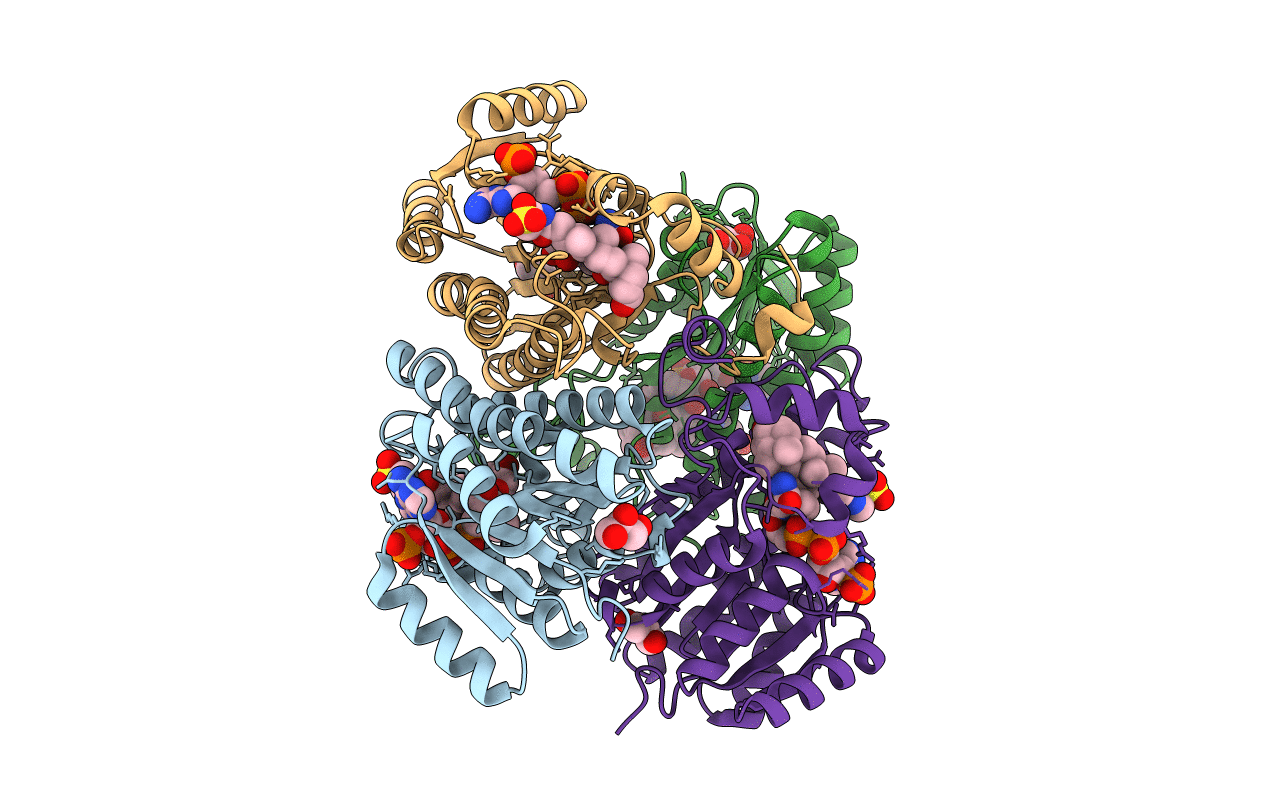 5EPO image
