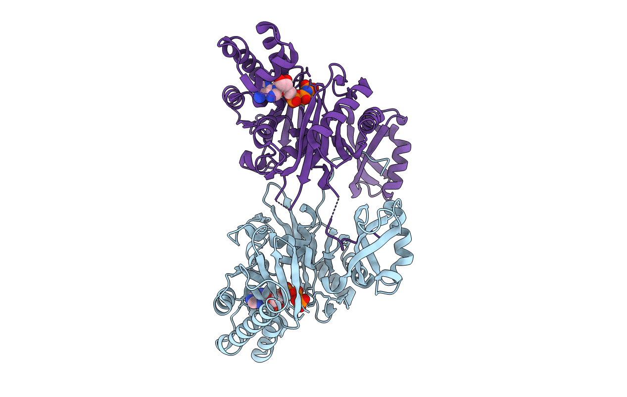 5EQ6 image