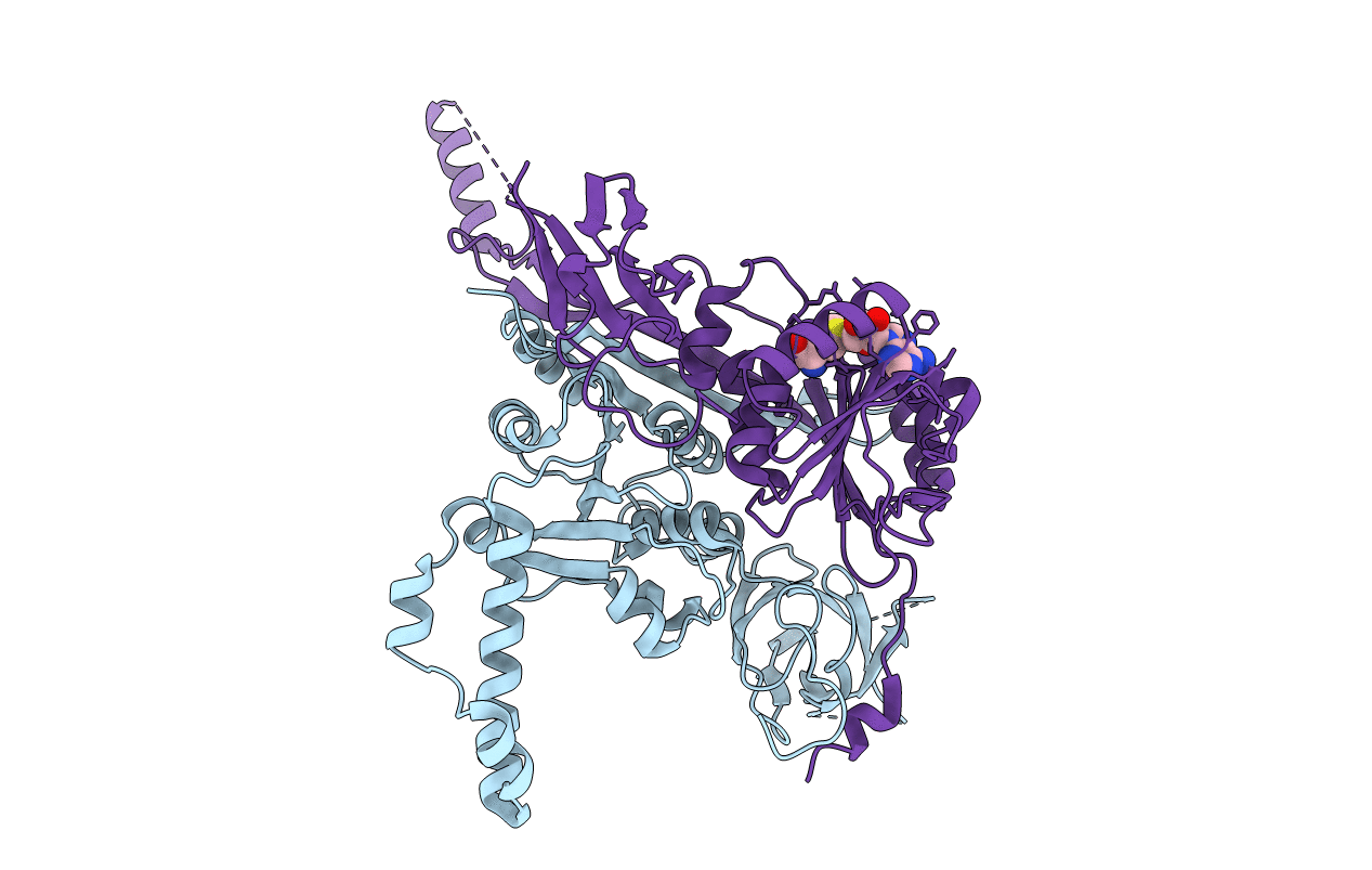 5ERG image