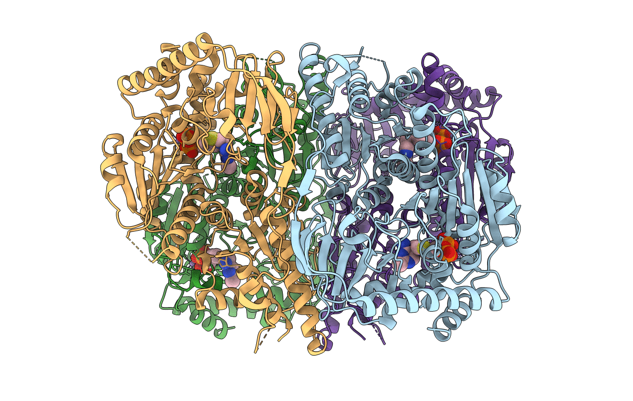 5ESD image