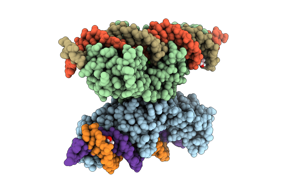 5ESP image
