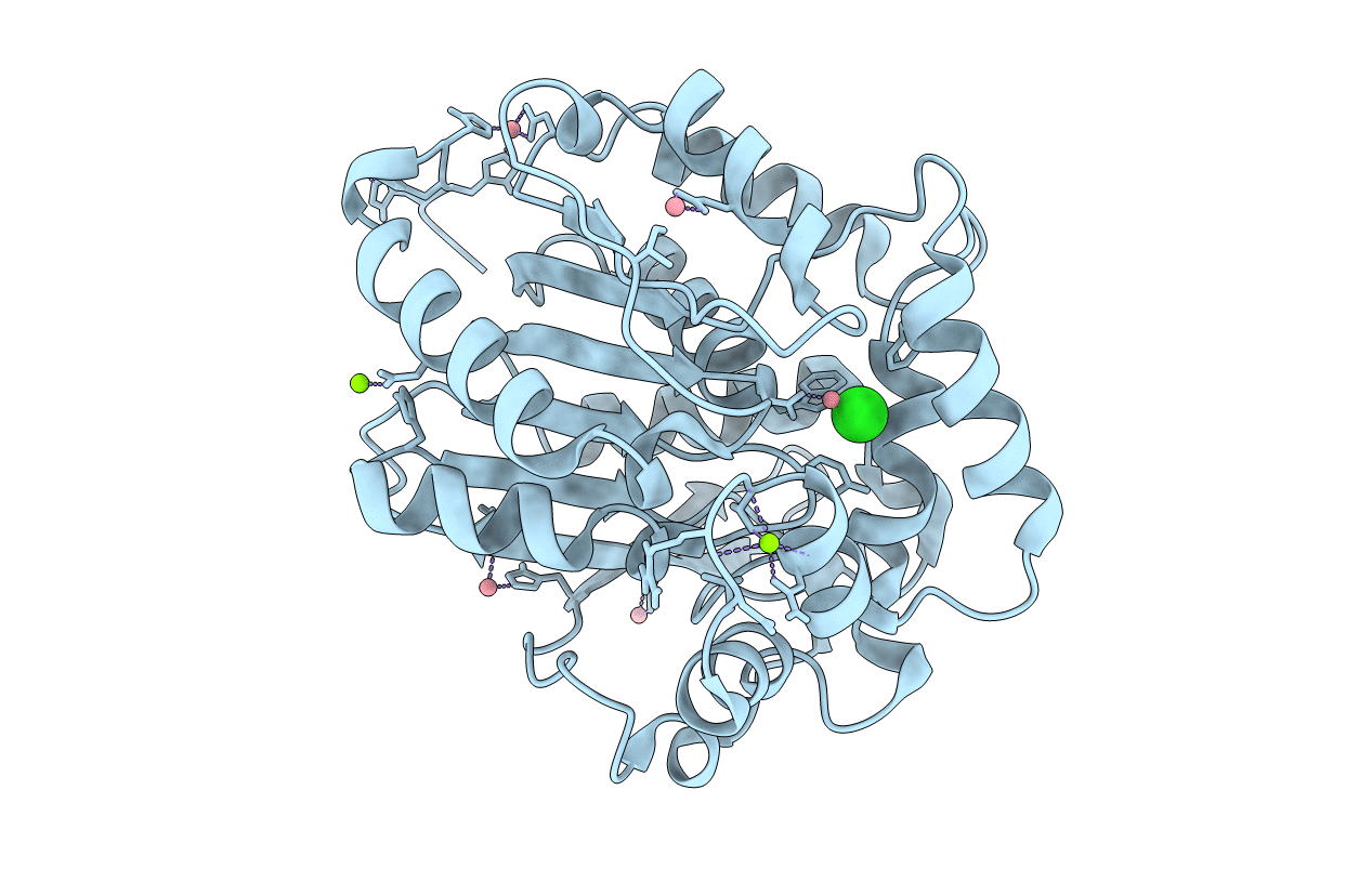 5ESR image