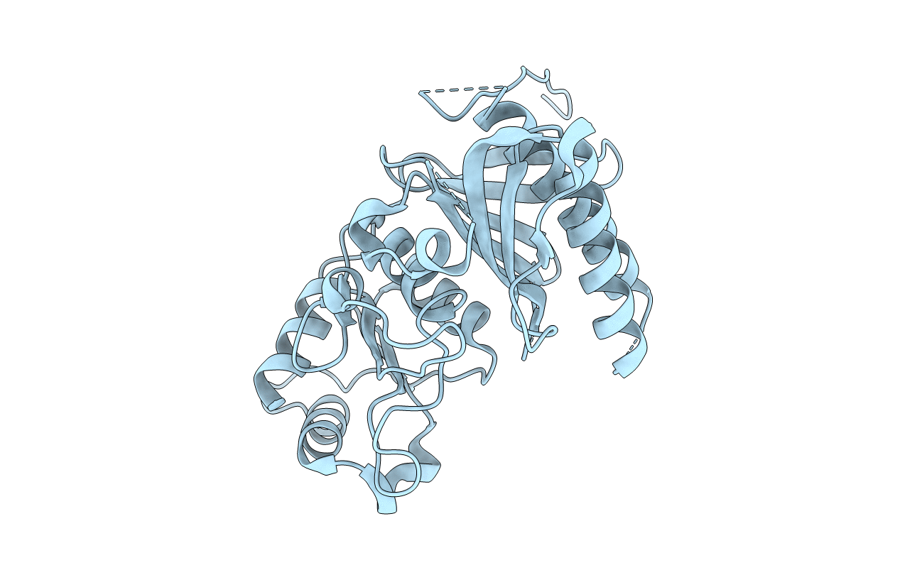 5ET5 image