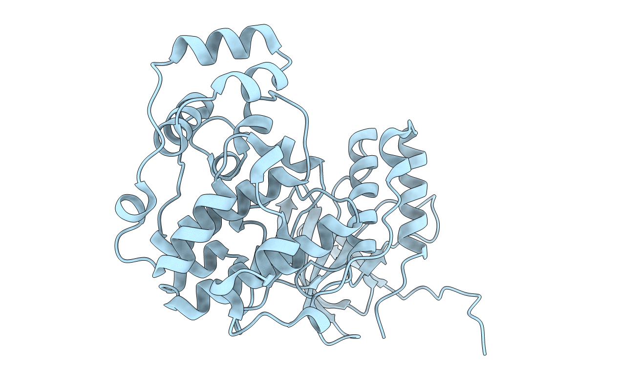 5ETI image