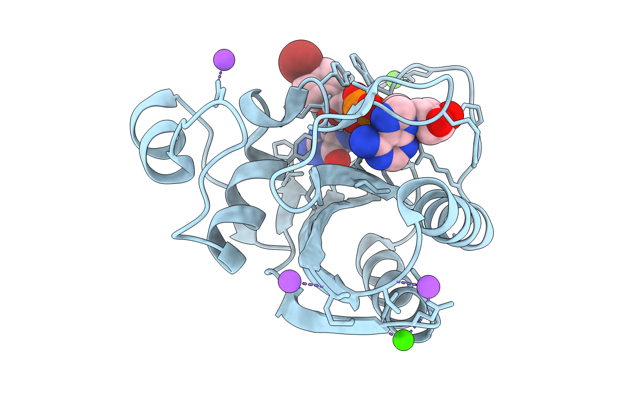 5ETP image