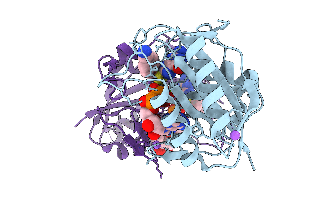 5ETQ image