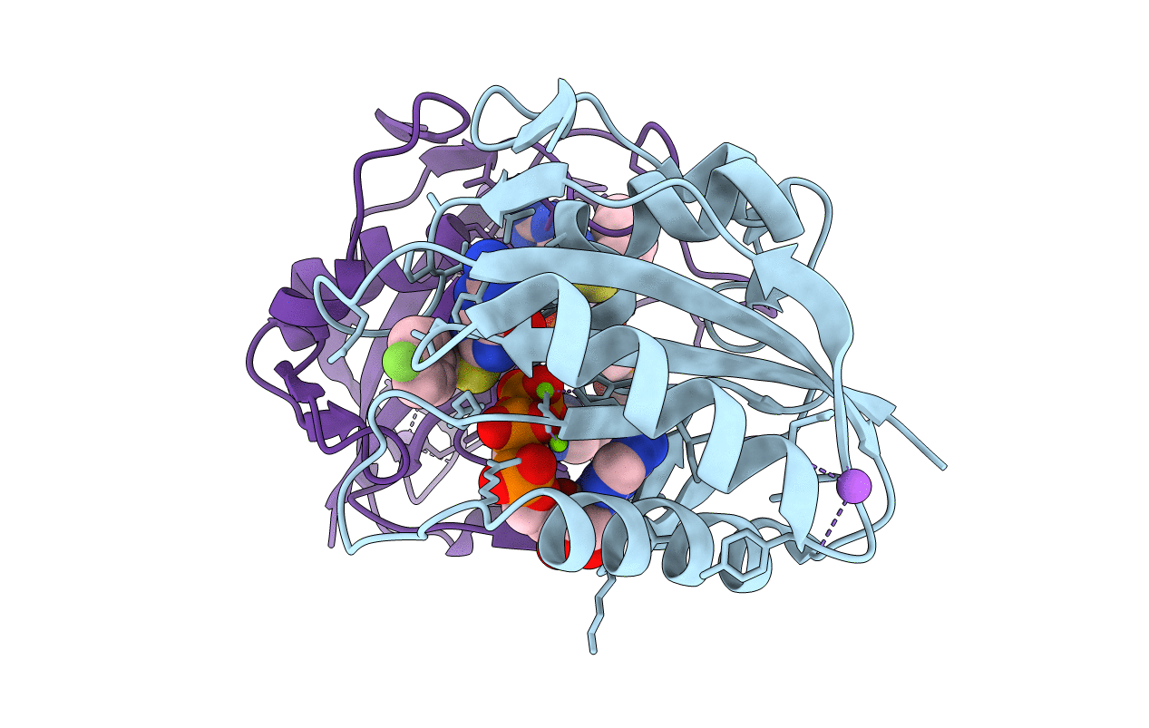 5ETR image