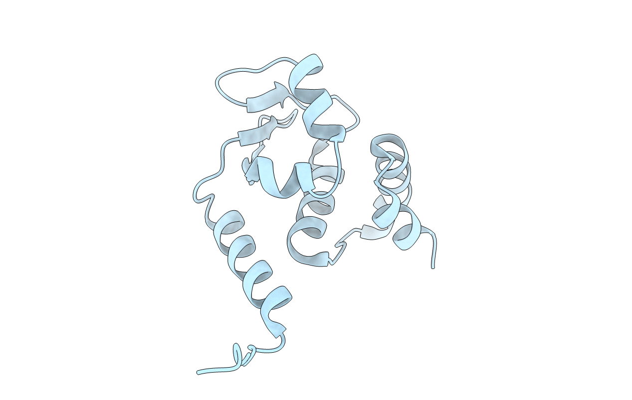 5EUP image