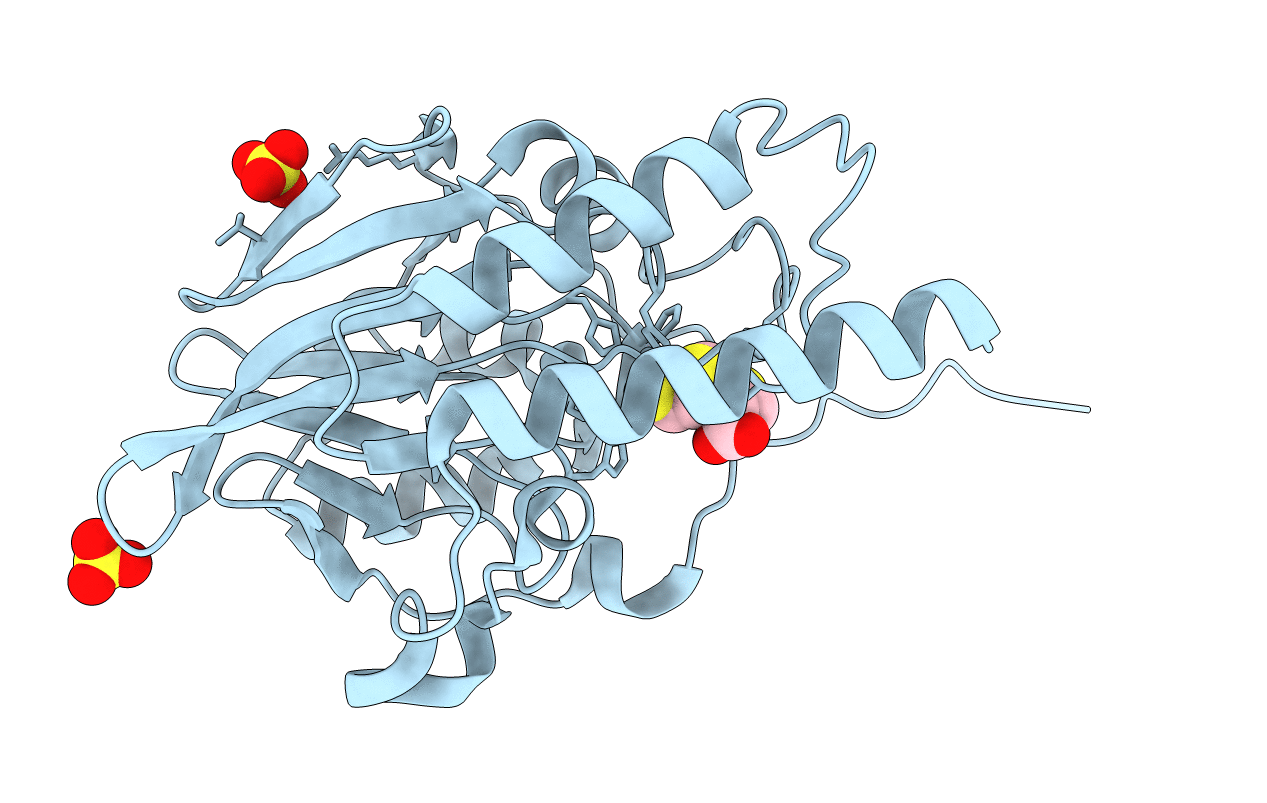 5EVB image