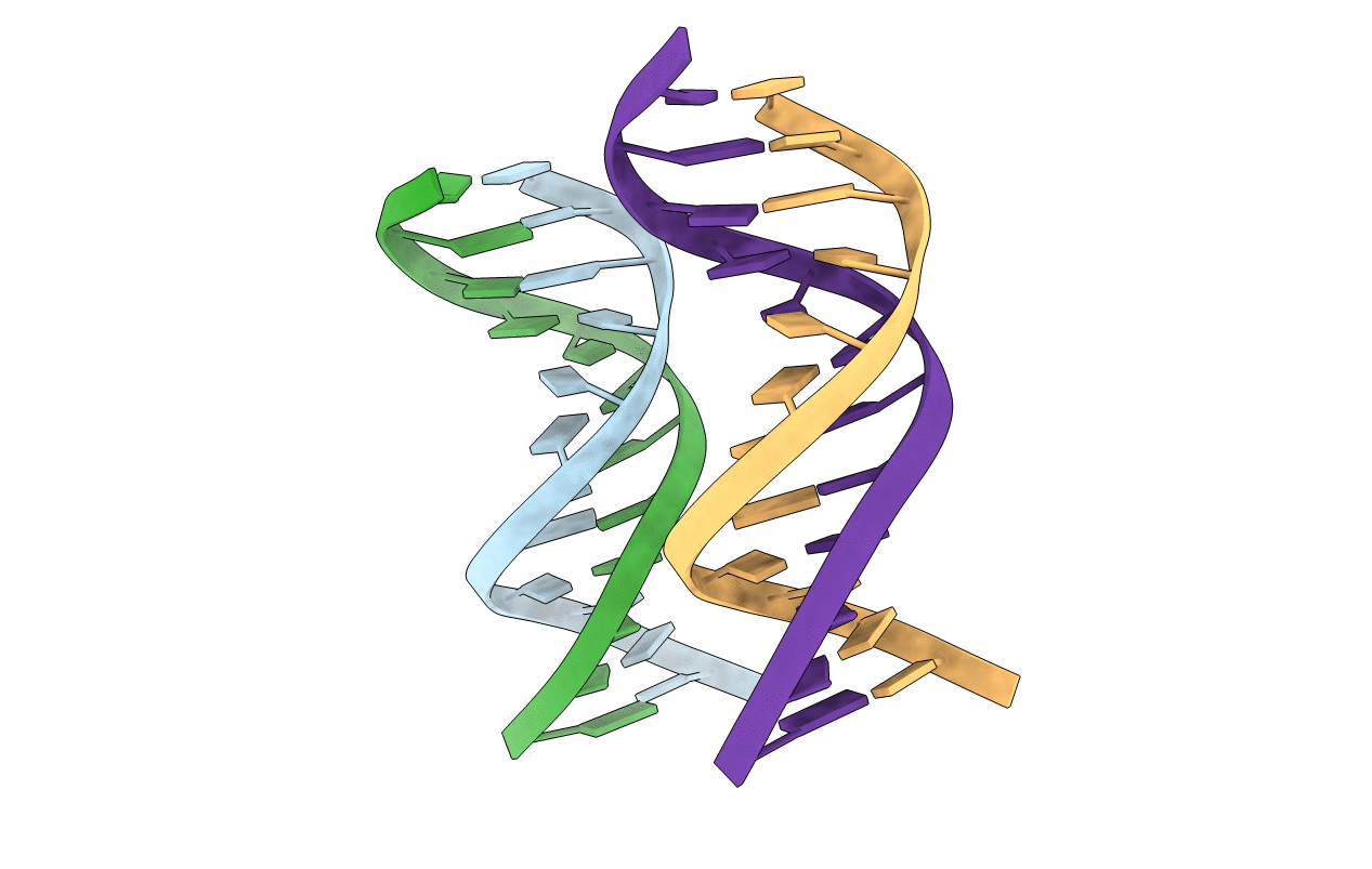 5EWB image