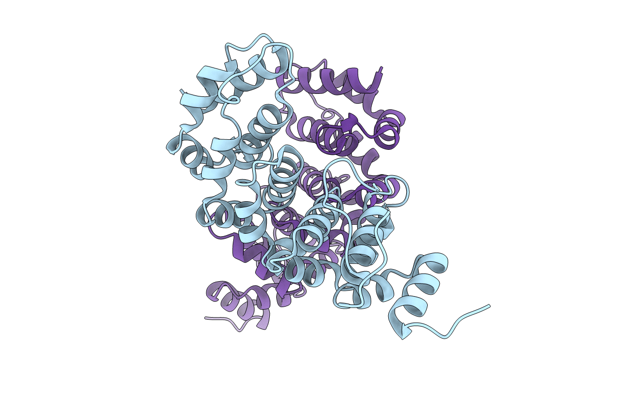 5EWP image