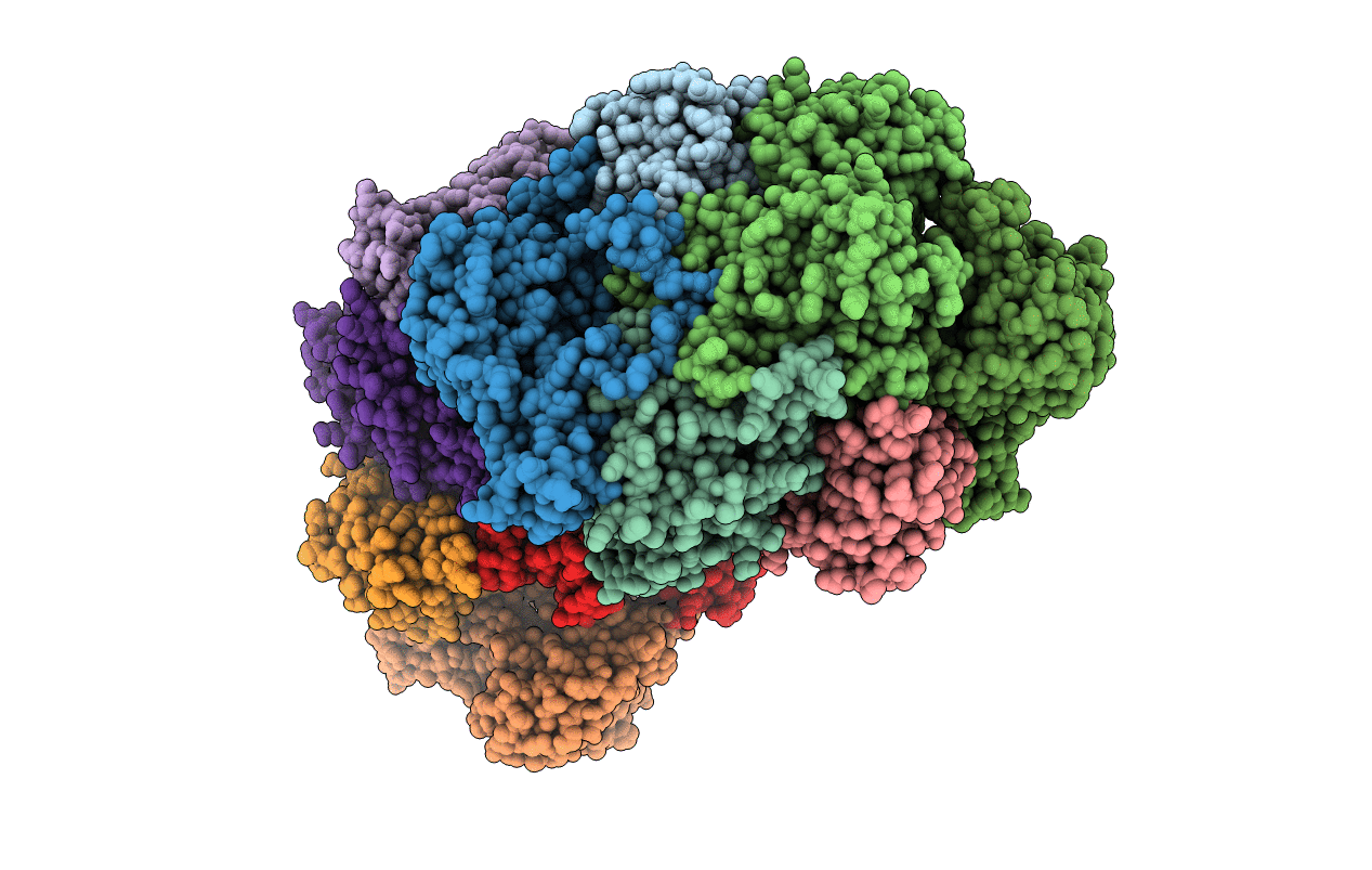 5EXD image