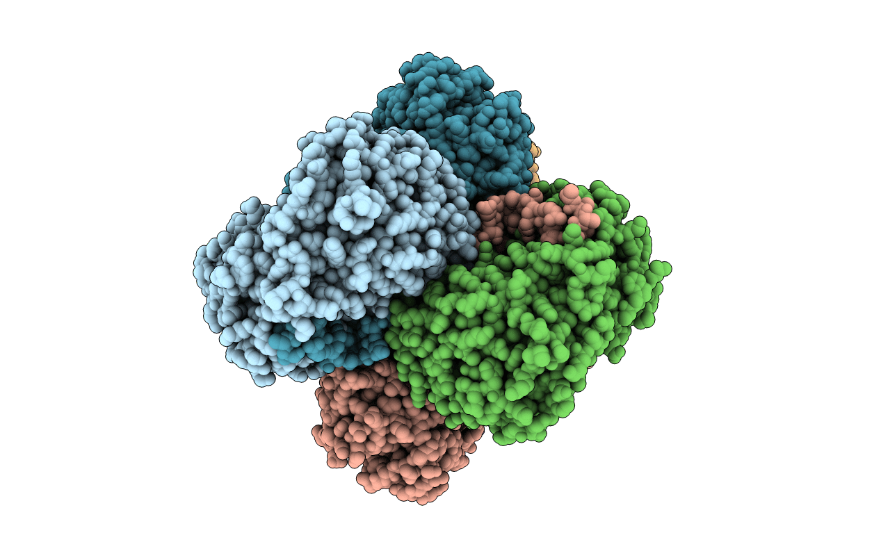 5EXF image