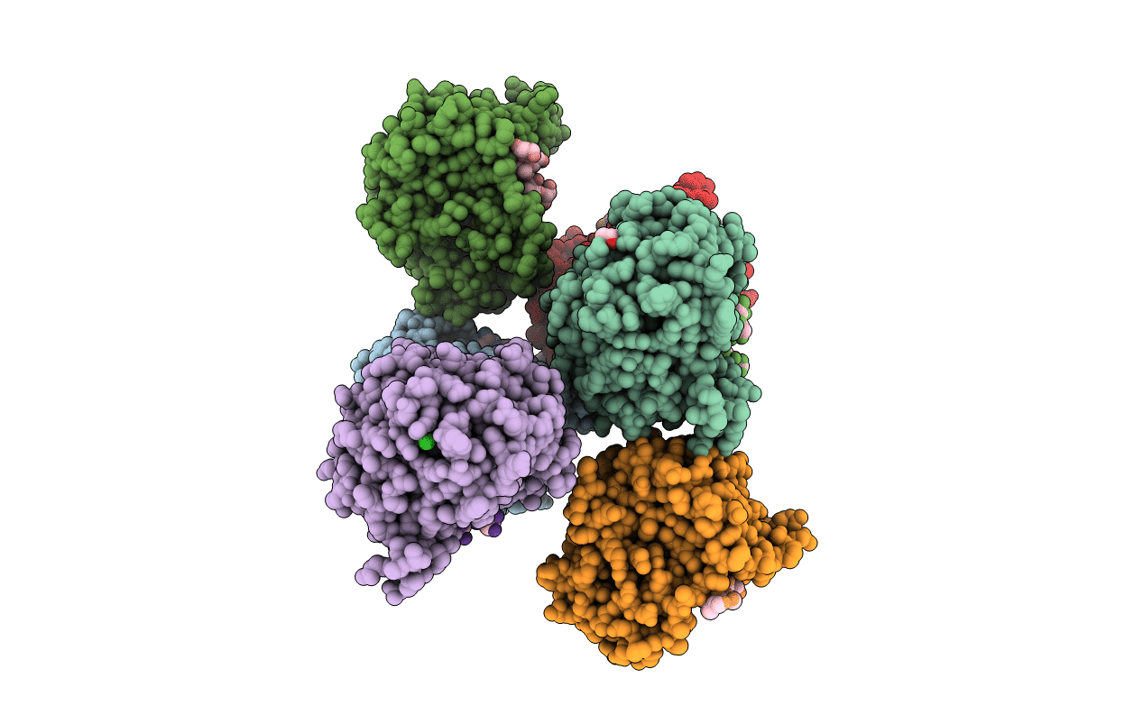 5EXK image