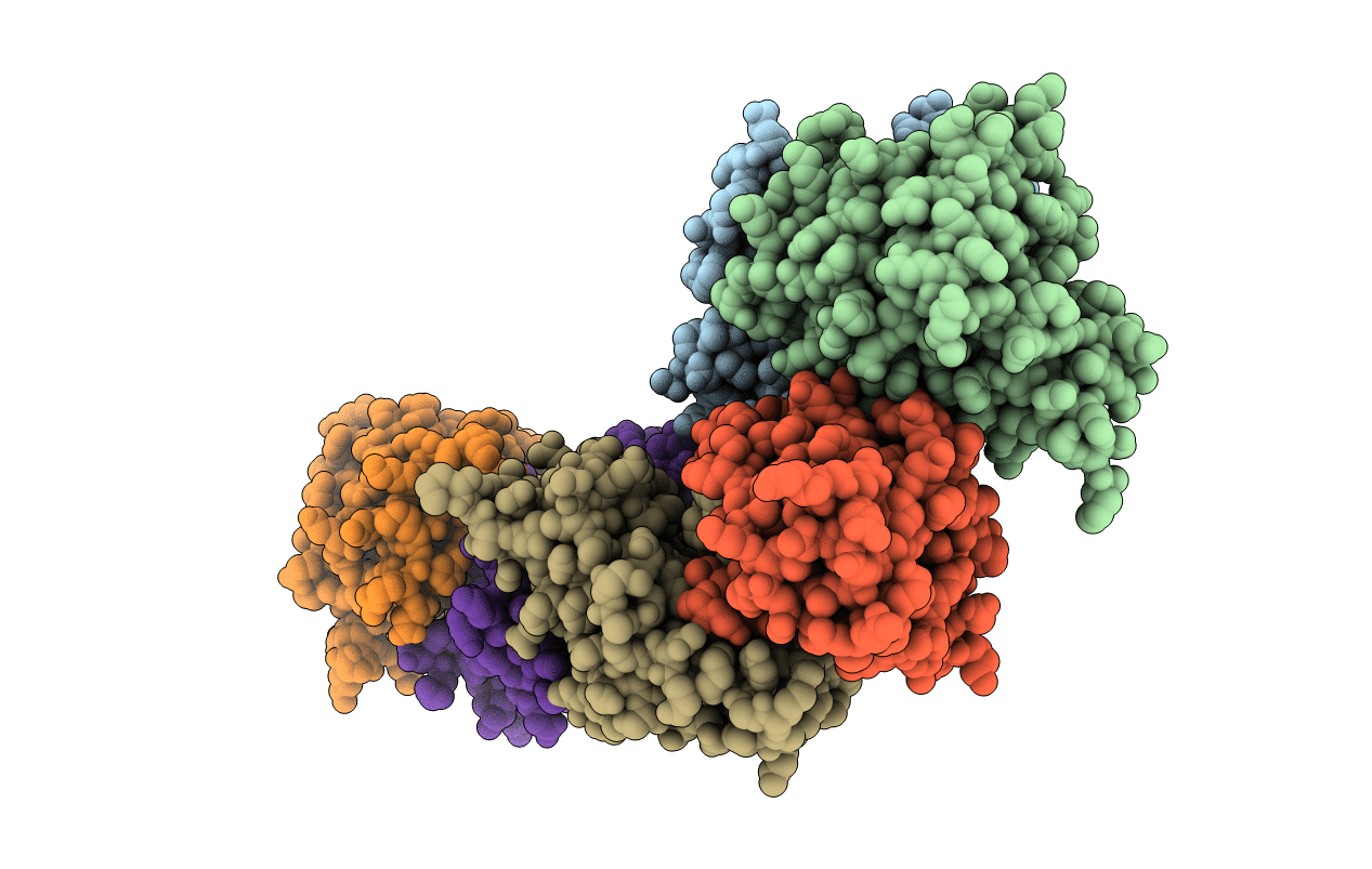 5EXV image
