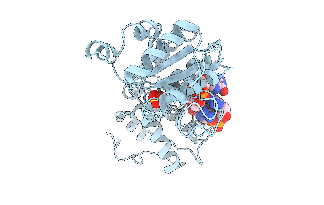 5EXX image