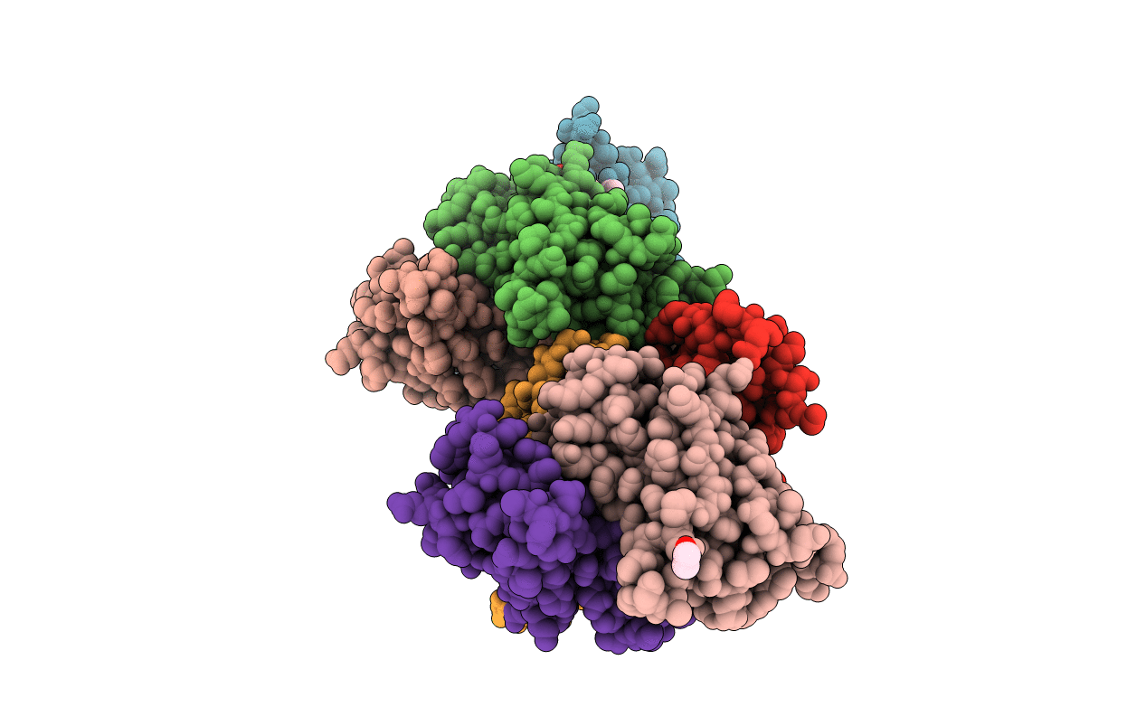 5EZP image