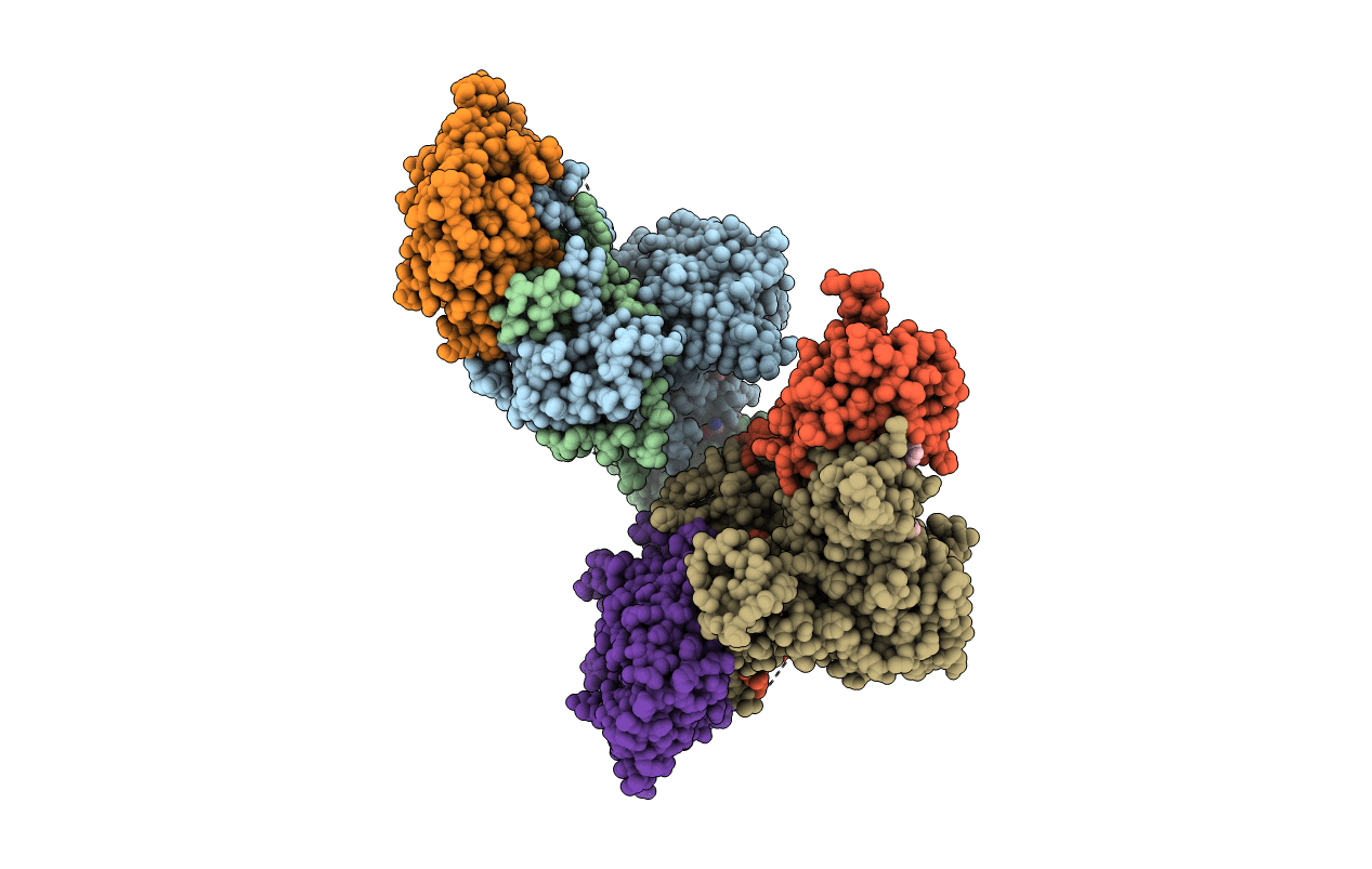 5EZV image