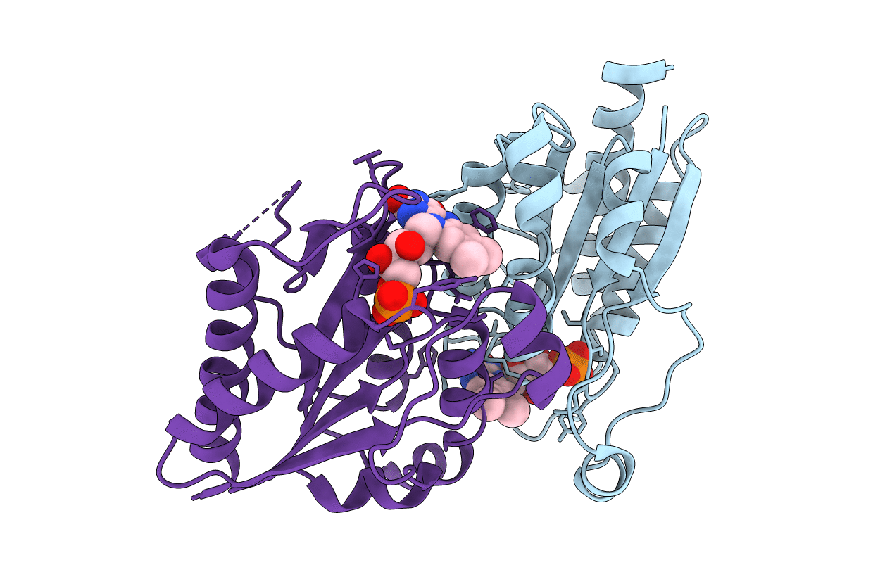 5F12 image