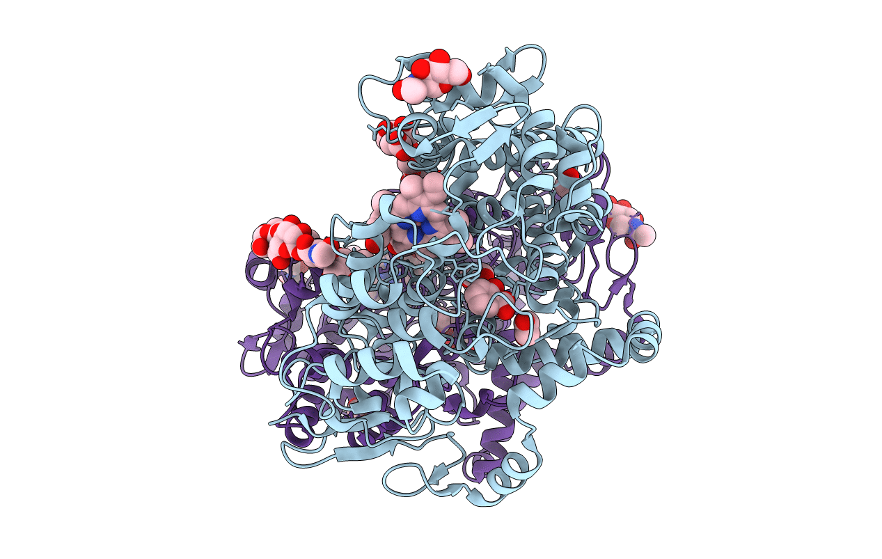 5F1A image
