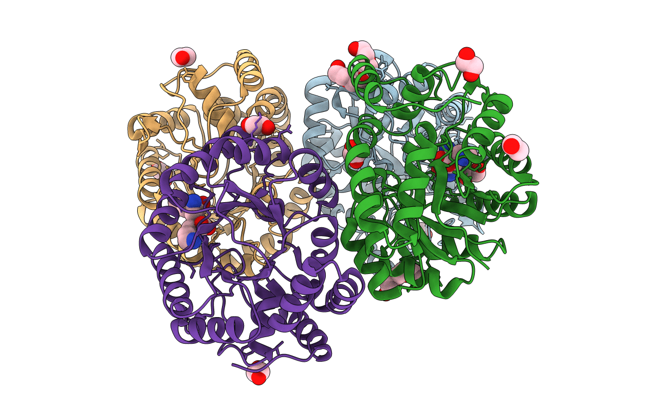 5F1U image