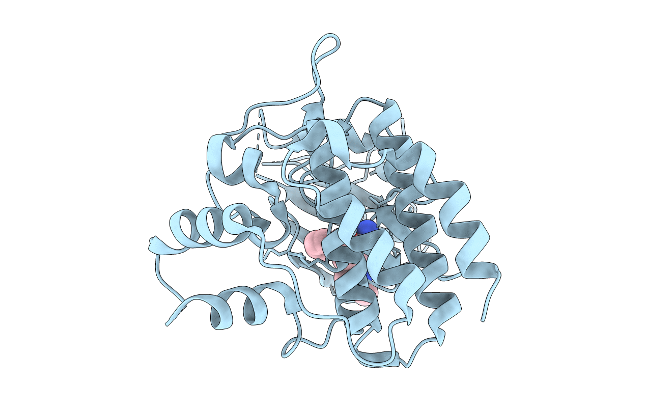 5F20 image