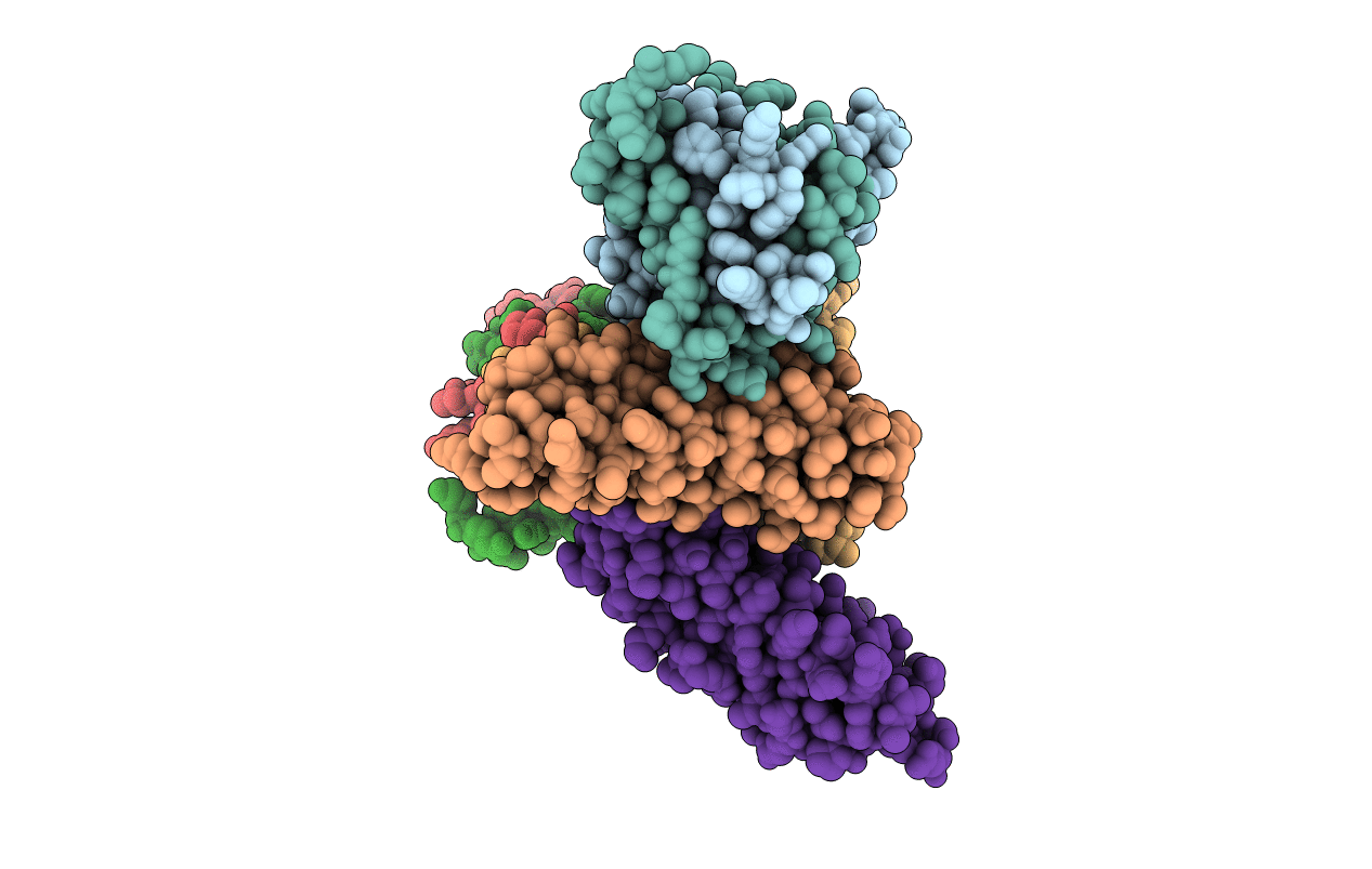 5F28 image
