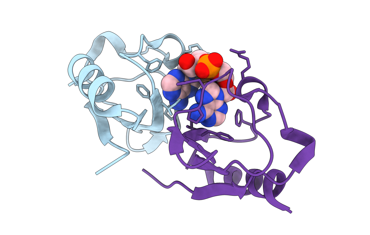 5F29 image