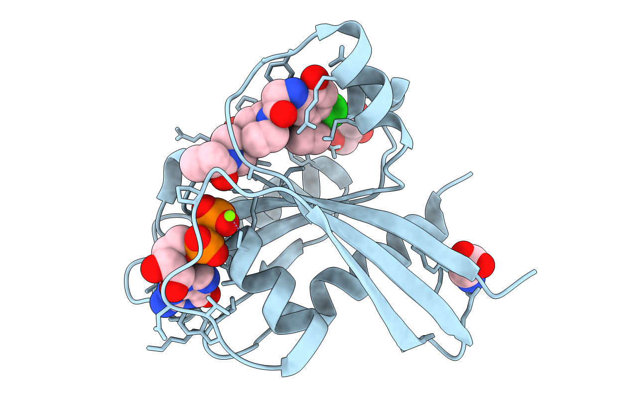 5F2E image