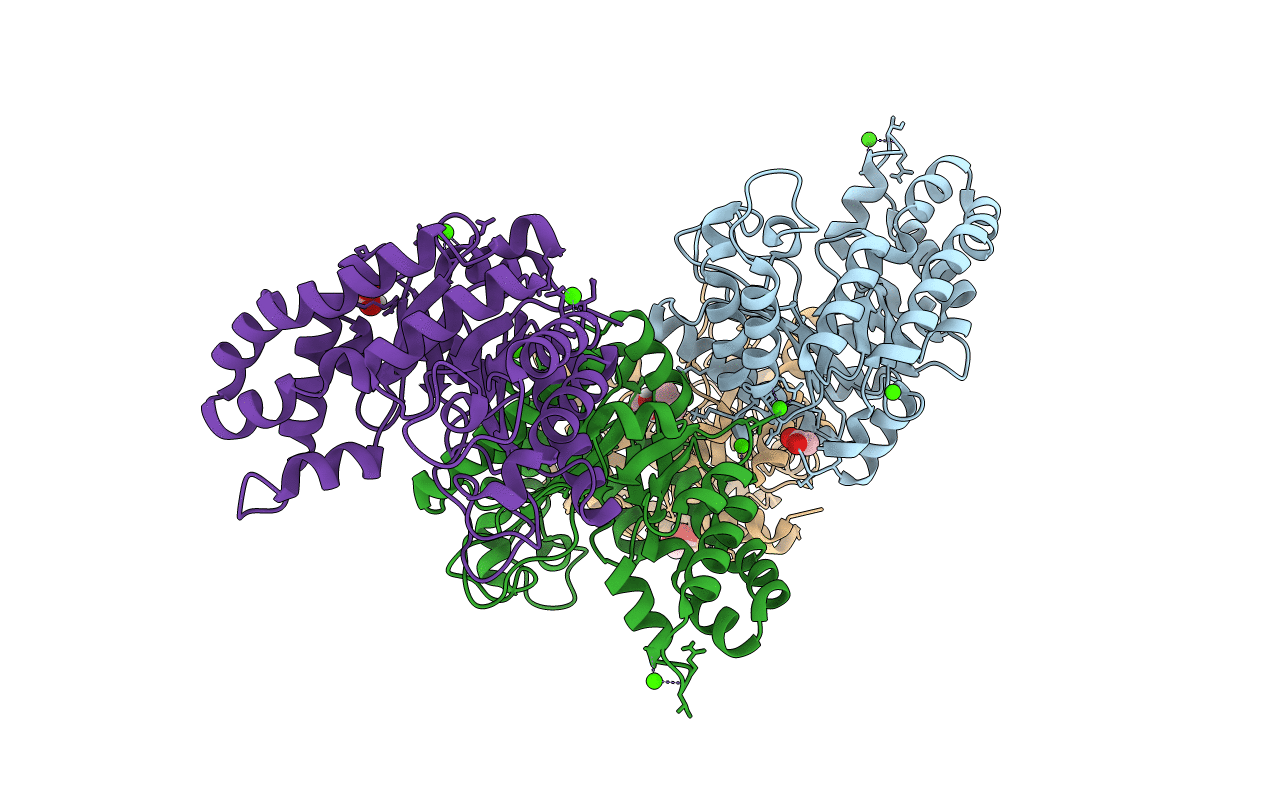 5F2I image